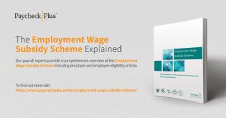 Employment Wage Subsidy Scheme Explained